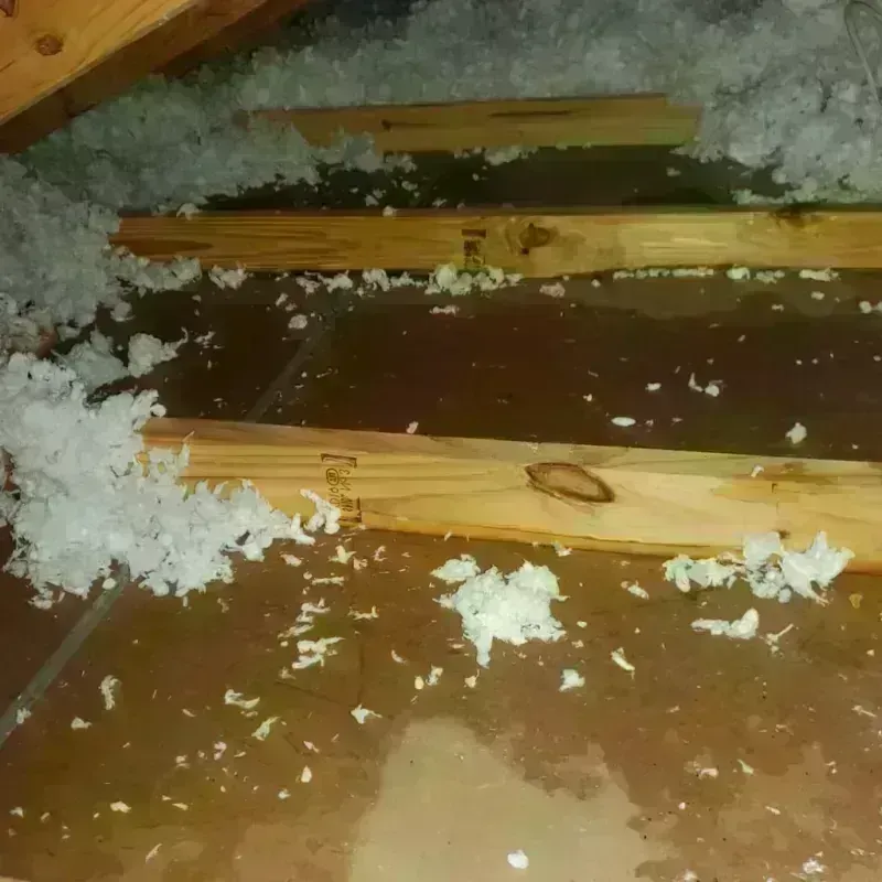 Attic Water Damage in Elton, LA