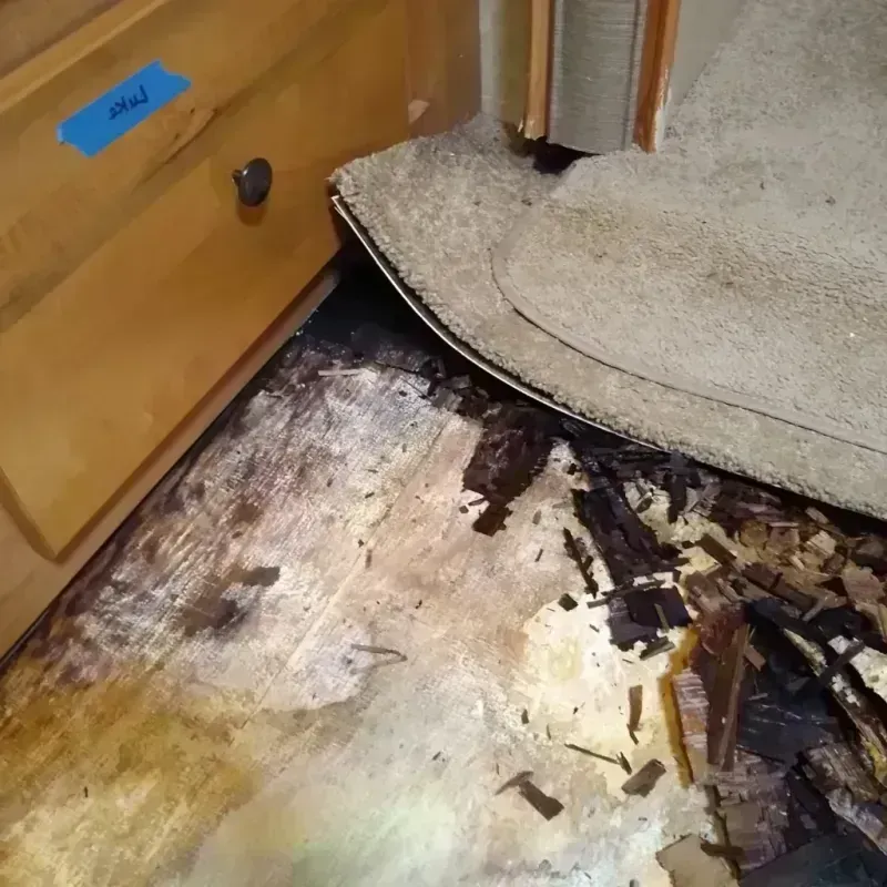 Best Wood Floor Water Damage Service in Elton, LA